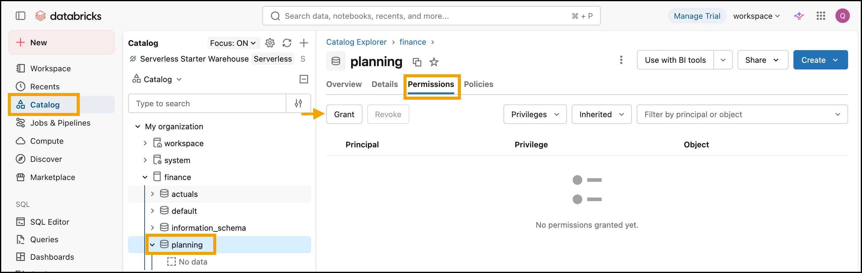 Catalog Explorer with the planning schema of the finance catalog selected, its Permissions tab open, and an arrow pointing to the Grant button.