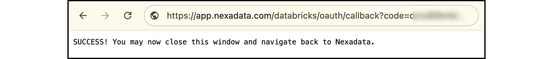A browser tab at the Nexadata Databricks callback URL showing SUCCESS! You may now close this window and navigate back to Nexadata.
