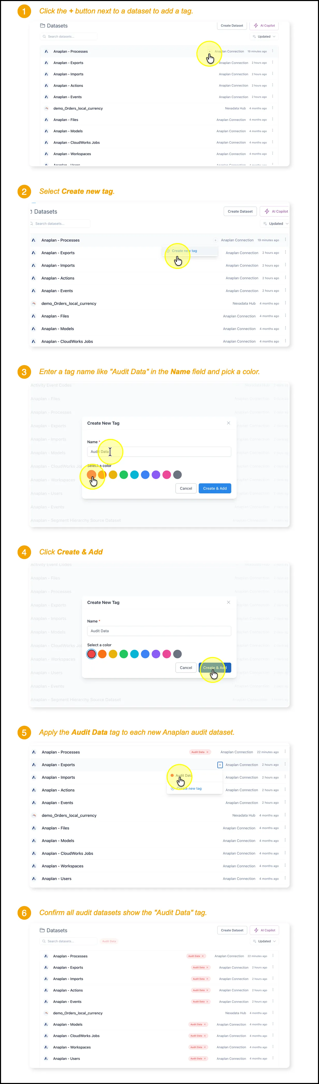 Six numbered panels: opening the tag popover from a dataset row, choosing Create new tag, naming it Audit Data and picking a colour, then applying it down the list until all nine Anaplan datasets carry the tag.